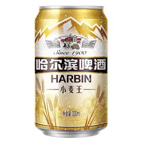 哈尔滨小麦王啤酒10度330ml    21934735