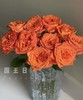 【昆明玫瑰】~国王日 橙色  20枝/扎  约60公分 商品缩略图0