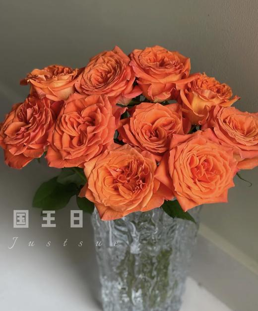 【昆明玫瑰】~国王日 橙色  20枝/扎  约60公分 商品图0