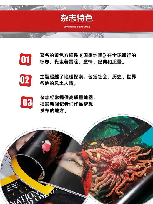 【3级别可选】美国国家地理幼儿版/儿童版/成人版 National Geographic Little Kids/Kids 开学季订阅福利 商品图10