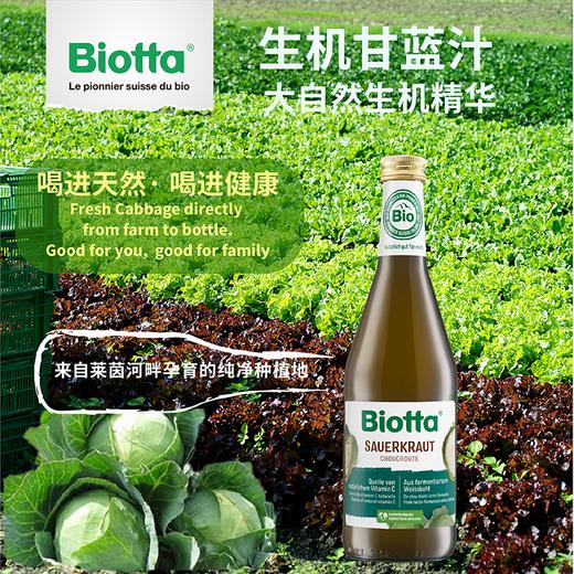 甘蓝菜汁500ml*2 商品图1