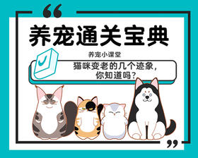 猫咪变老的几个迹象，你知道吗？