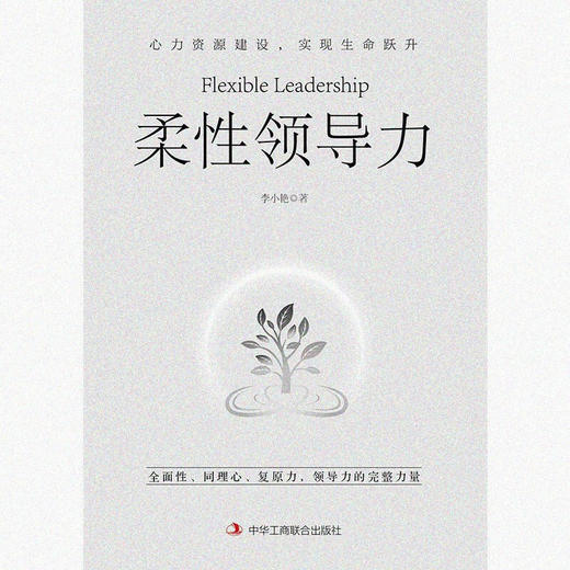 柔性领导力 李小艳 著 管理 商品图1