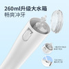 博皓（prooral）冲牙器/洗牙器/水牙线/洁牙器 手持立式设计 5025pro（原5002升级版）蓝色 商品缩略图6