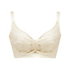 都市丽人舒软挺塑调整型内衣BC薄3/4杯蕾丝塑身文胸三排软钢圈LJ33A2 商品缩略图7