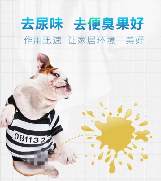 敌特宠物消毒液除臭杀菌祛尿味消毒水1000ml 商品图1