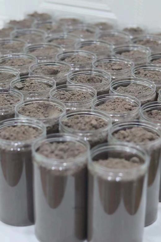 五黑粉 商品图0