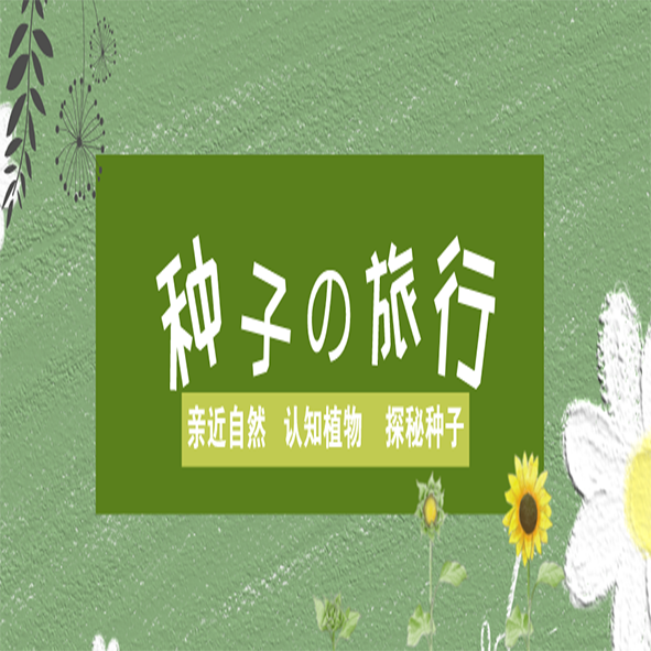【2025.11-12】种子的旅行 | 植物妈妈有办法-半日亲子营