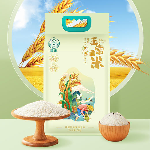 【缴费有礼】臻米--五常香米  5kg/袋   自然米香，爽口有嚼劲 商品图0