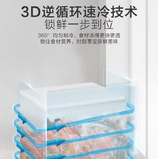 海尔（Haier）冰柜 BC/BD-200GH 商品图3