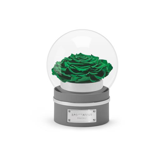 【音乐圆罩】ROSEONLY诺誓 永生玫瑰-音乐系列 悦慕马 十二星座音乐球玫瑰公仔 甜心兔熊猫公仔音乐球礼盒 送女友节日礼物 商品图8