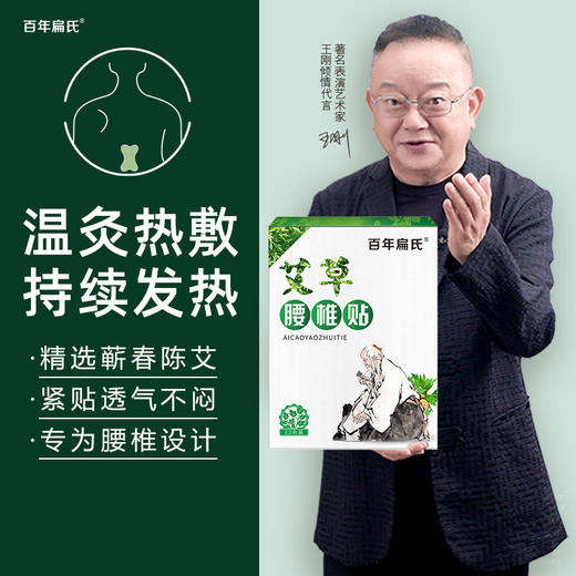 百年扁氏艾草腰椎贴（赠品勿拍） 商品图1