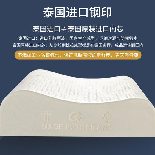 睡眠博士 泰国乳胶枕原装进口天然乳胶枕头成人泰国乳胶枕头芯 橡胶枕芯 成人颈椎枕头睡眠枕头 95%乳胶含量 商品图3