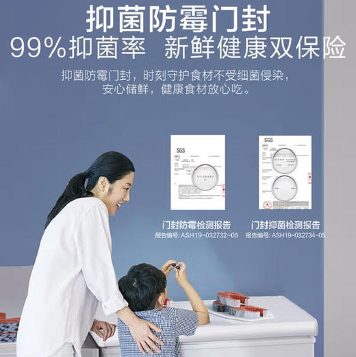 海尔（Haier）冰柜 BC/BD-200GH 商品图4