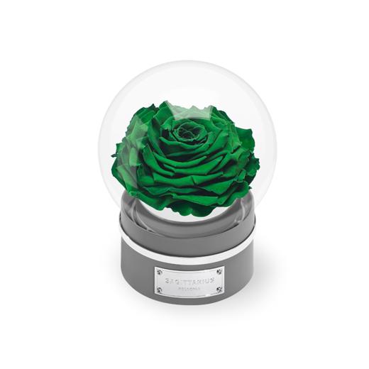 【音乐圆罩】ROSEONLY诺誓 永生玫瑰-音乐系列 悦慕马 十二星座音乐球玫瑰公仔 甜心兔熊猫公仔音乐球礼盒 送女友节日礼物 商品图10