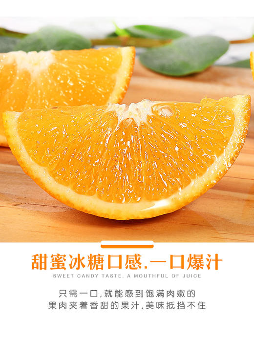 助力湖南麻阳冰糖橙，汁多肉脆，甜润爽口，个头小却甜，像冰糖一样的甜橙 商品图5