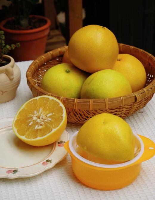 爆汁“小炮弹”| 葡萄柚清甜水润  产自平和县  送榨汁器 清甜化渣 商品图5