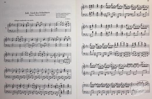 【中商原版】The Seasons op 37bis 进口艺术 柴可夫斯基四季 op37bis 钢琴独奏带指法 商品图7