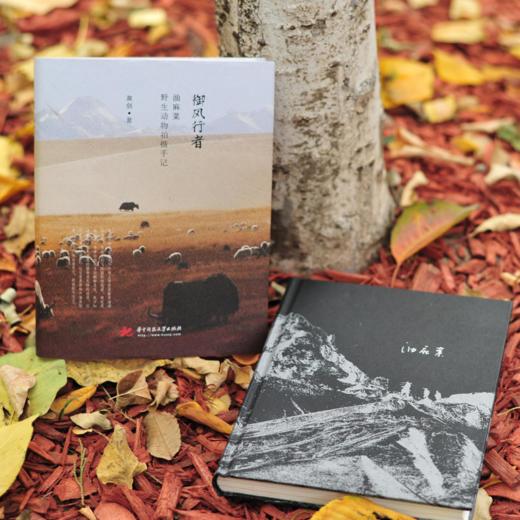 《御风行者》油麻菜野生动物拍摄手记 商品图4