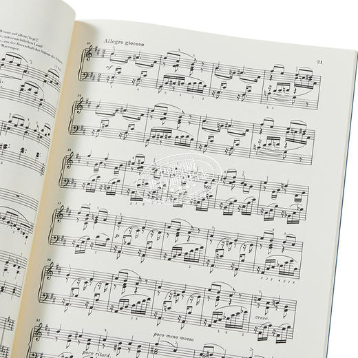 【中商原版】The Seasons op 37bis 进口艺术 柴可夫斯基四季 op37bis 钢琴独奏带指法 商品图3