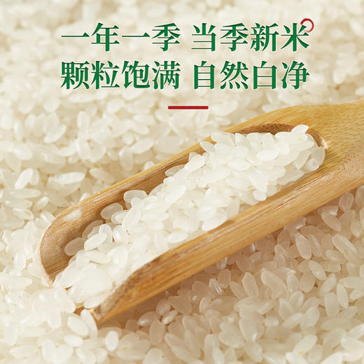 【缴费有礼】臻米--五常香米  5kg/袋   自然米香，爽口有嚼劲 商品图1