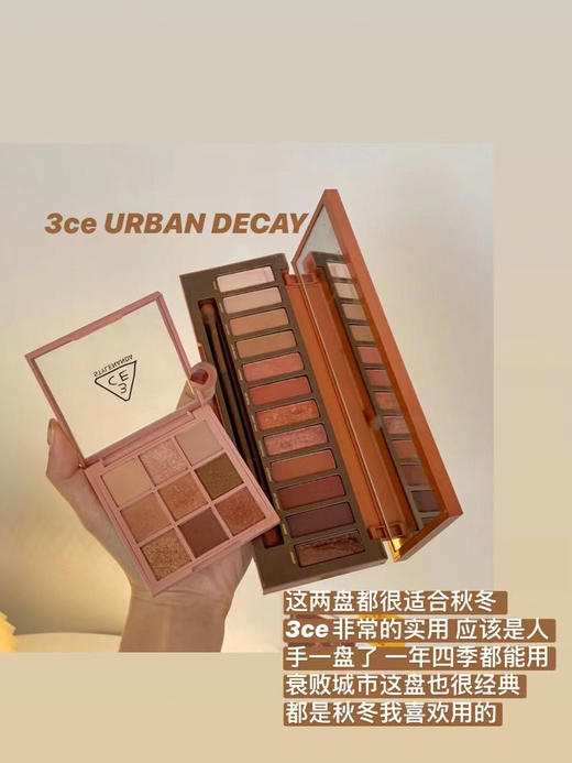 美国Naked UrbanDecay衰败城市12色眼影Heat 南瓜眼影盘 商品图6