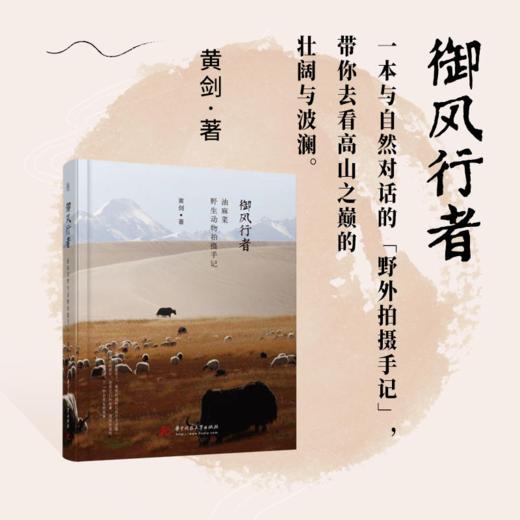 《御风行者》油麻菜野生动物拍摄手记 商品图0