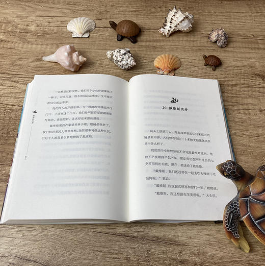 航海家归来 商品图3