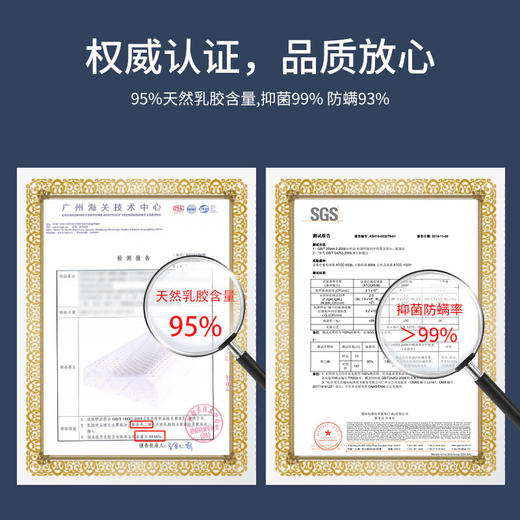 睡眠博士 泰国乳胶枕原装进口天然乳胶枕头成人泰国乳胶枕头芯 橡胶枕芯 成人颈椎枕头睡眠枕头 95%乳胶含量 商品图5