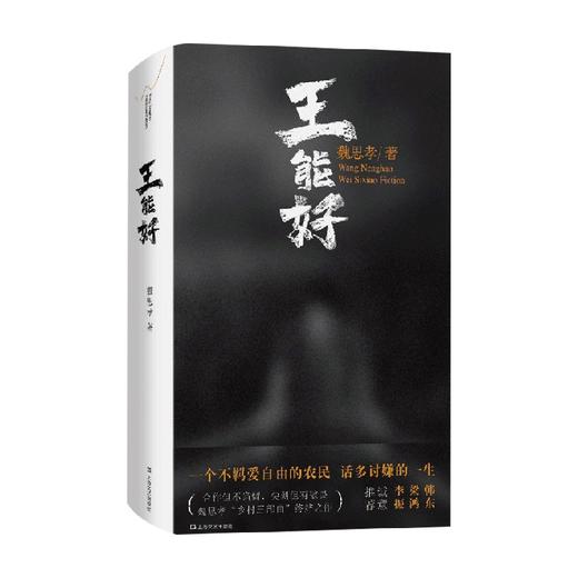 王能好 魏思孝 著 小说 商品图0
