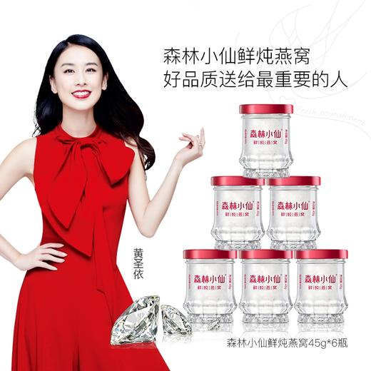 森林小仙鲜炖燕窝 598型 商品图0