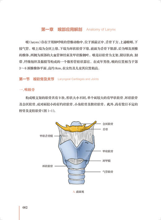 喉肌电图临床应用 徐文著 附视频 喉部应用解剖 异常喉肌电图病例精解 临床喉肌电图技术解读参考书 人民卫生出版社9787117337939 商品图4
