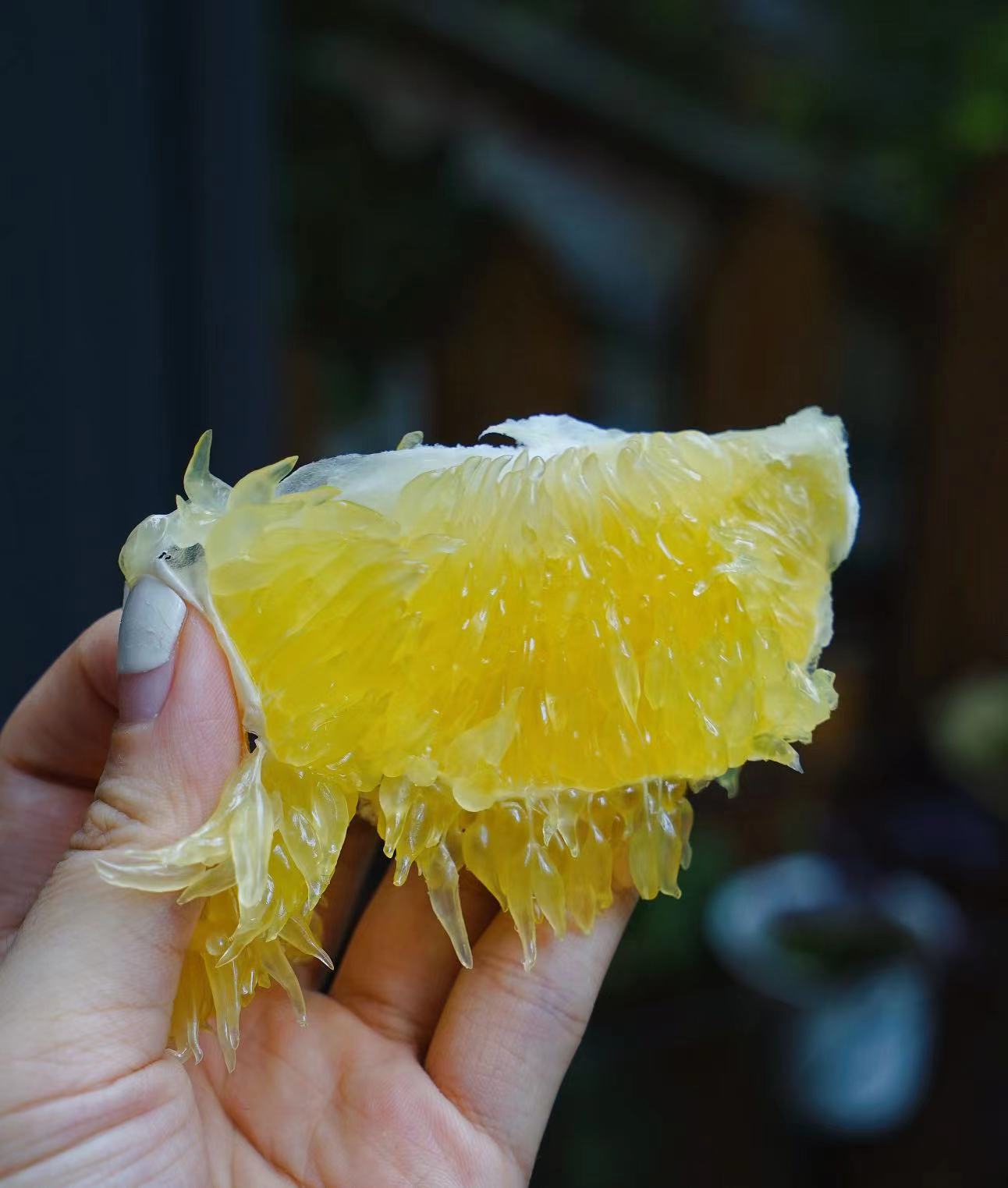 爆汁“小炮弹”| 葡萄柚清甜水润  产自平和县  送榨汁器 清甜化渣