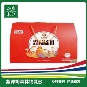 紫津坊 森林锦礼B干货坚果礼盒#1370g/盒*1