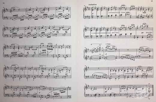 【中商原版】The Seasons op 37bis 进口艺术 柴可夫斯基四季 op37bis 钢琴独奏带指法 商品图5