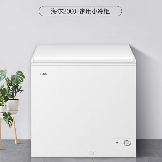 海尔（Haier）冰柜 BC/BD-200GH 商品图0