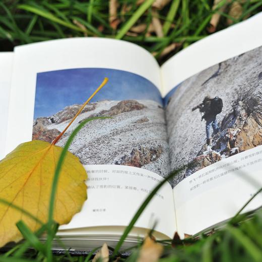 《御风行者》油麻菜野生动物拍摄手记 商品图2