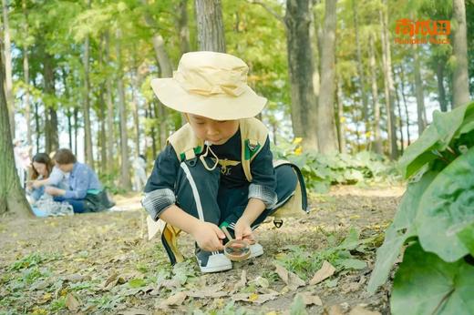 -上海站-五一单日营 | 植物小侦探 商品图0