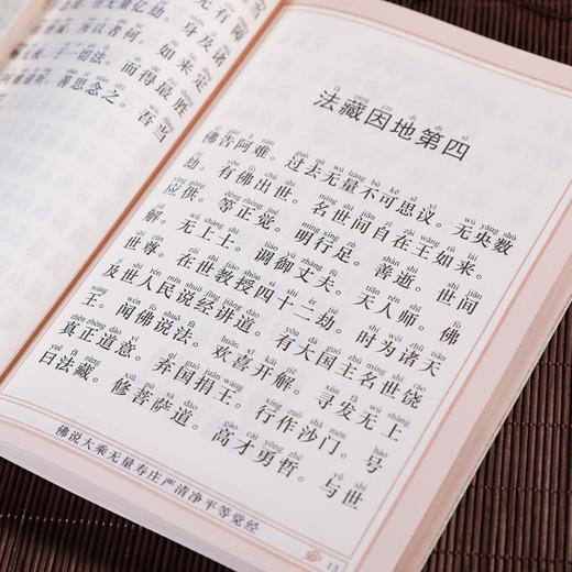 无量寿经（简体版） 商品图2