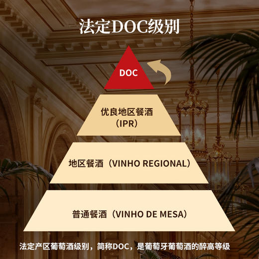 首彩杜罗河红葡萄酒（首彩78） 商品图5