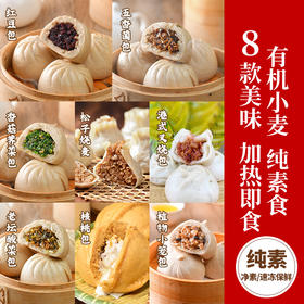 【买赠】纯素包子 老坛酸菜 红豆松子烧麦 荠菜香菇 五香菌菇 叉烧包  五点素