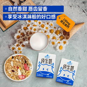 【新品推荐】神气水牛纯牛奶125ml*10盒 迷你康美包