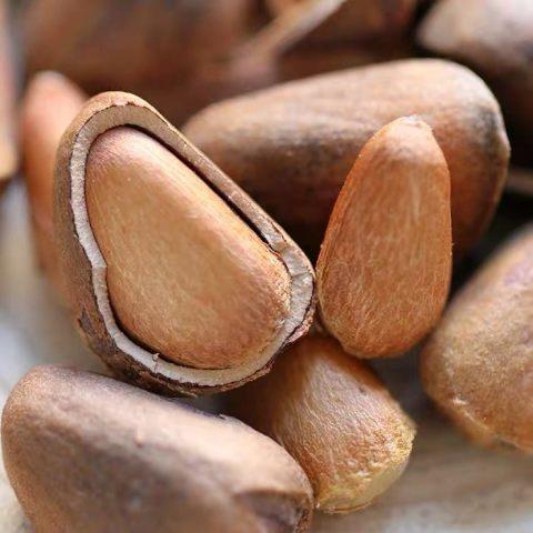 长白山特产 开口松子 260g袋 商品图0