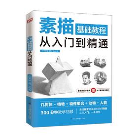 素描基础教程从入门到精通 王金 著 绘画