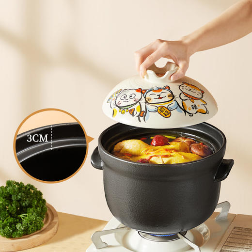 炊大皇日式福猫煲4.5L（配锅盖） 商品图2