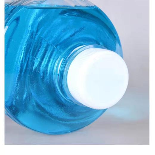 长城世喜汽车玻璃水长城世喜0度玻璃水2L 商品图2