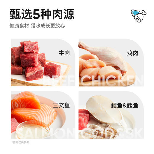 LORDE里兜 全价幼猫粮2kg 商品图1