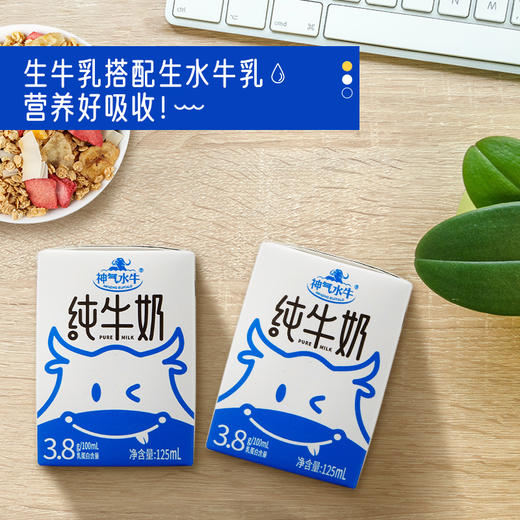【积分兑换】神气水牛纯牛奶125ml*10盒 迷你康美包 商品图2