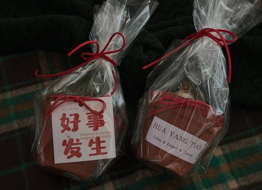  风信子 · 盆栽盲盒 （颜色随机） 商品图4