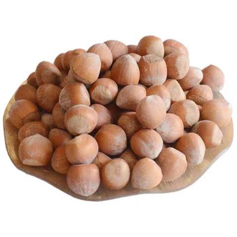 长白山特产 榛子 500g袋 商品图2